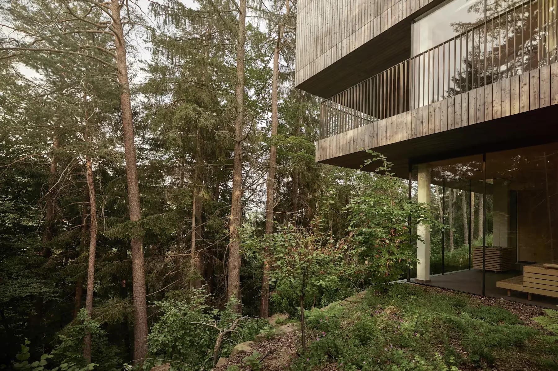 Hotel Saltus: forest-setting structure with wooden exterior and support beams amid lush green vegetation