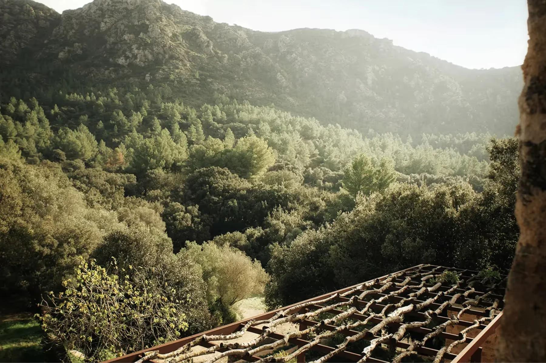 Es Racó d’Artà: forested hillside view from estate building with layered Mediterranean vegetation and distant valleys