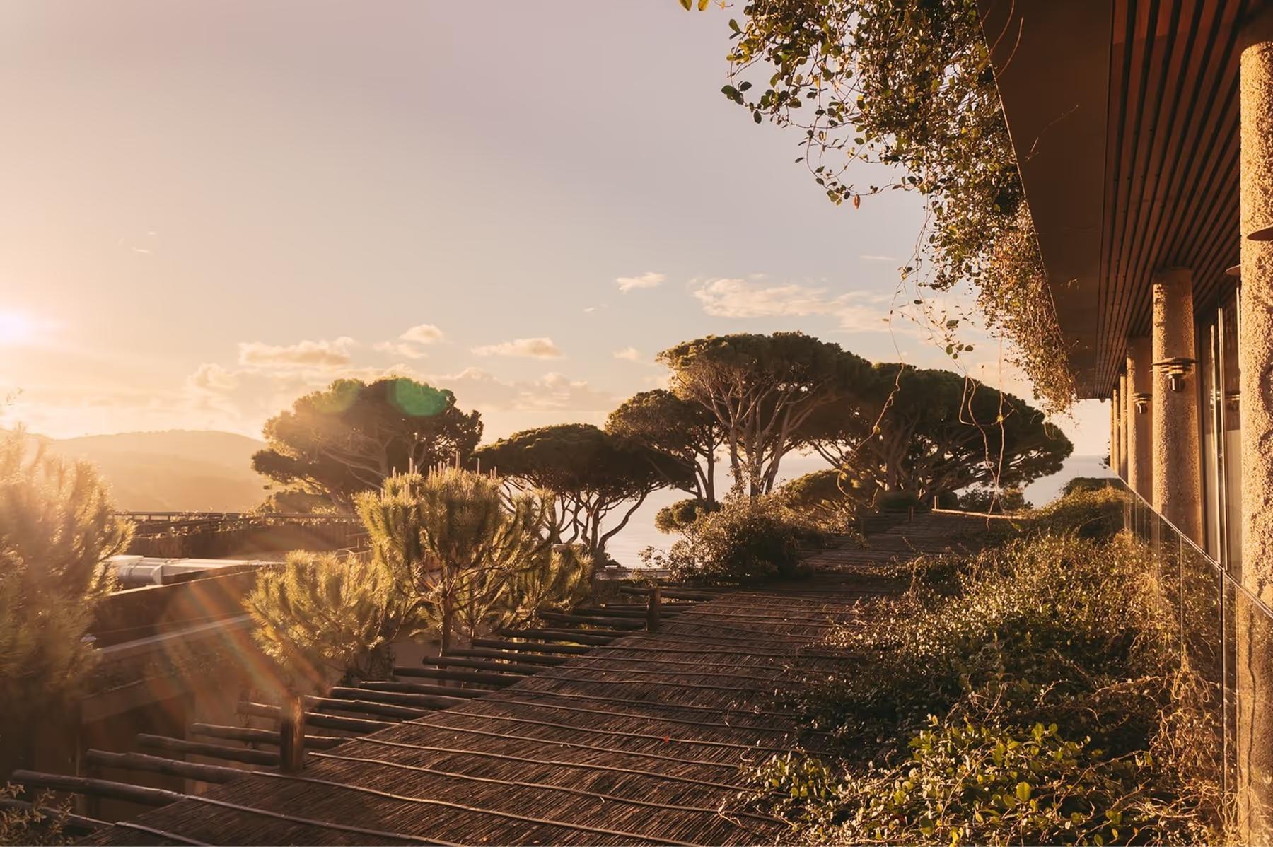 Lily of the Valley: wooden terrace at golden hour with pine trees and distant sea