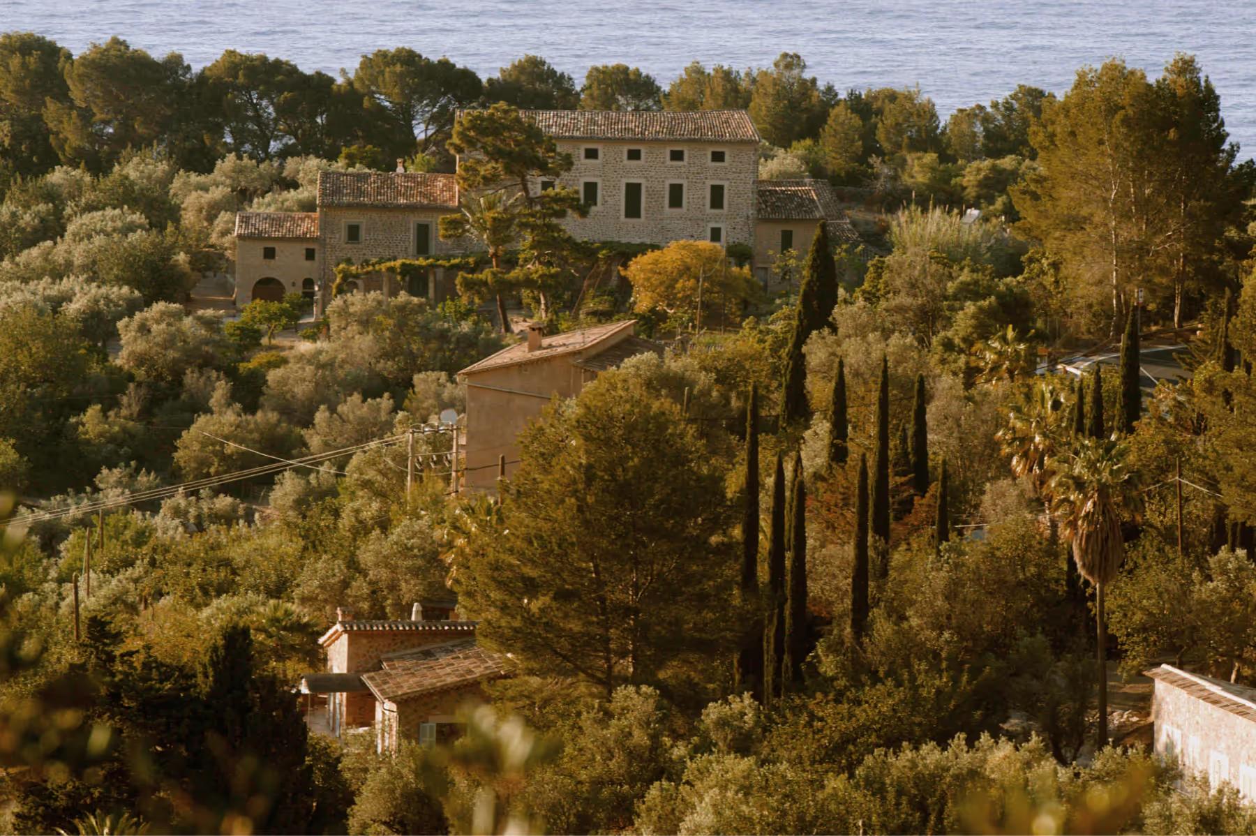 La Residencia: estate on hillside surrounded by olive groves and cypress trees in Mediterranean valley