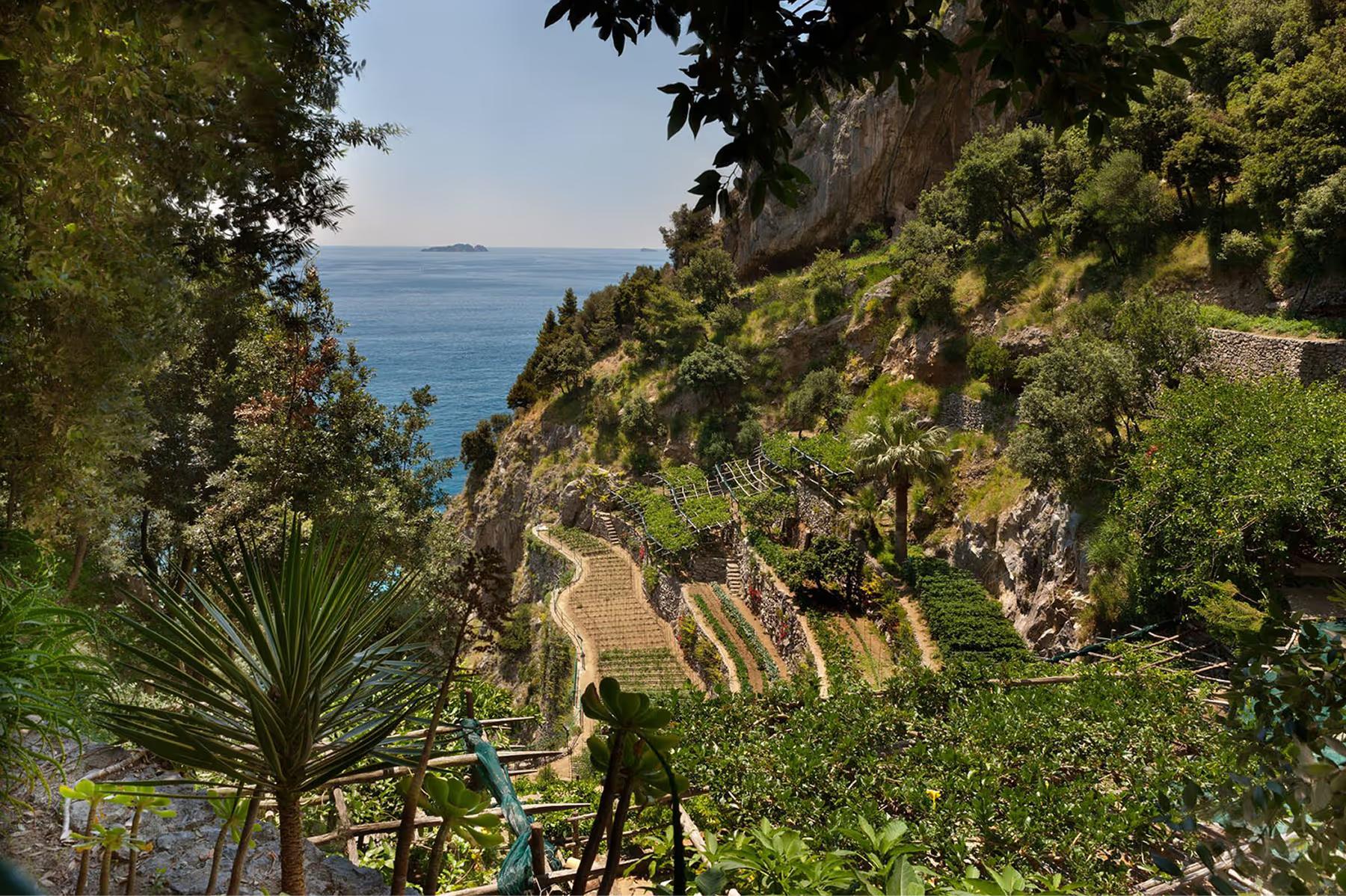 Stone-walled terraces step down limestone cliffs through lemon groves with Mediterranean water visible far below