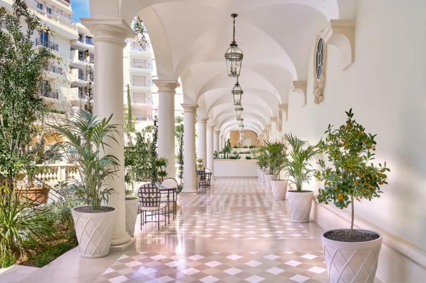 Carlton Cannes: covered colonnade walkway with white columns, potted plants lining both sides, and sunlight casting geometric shadows