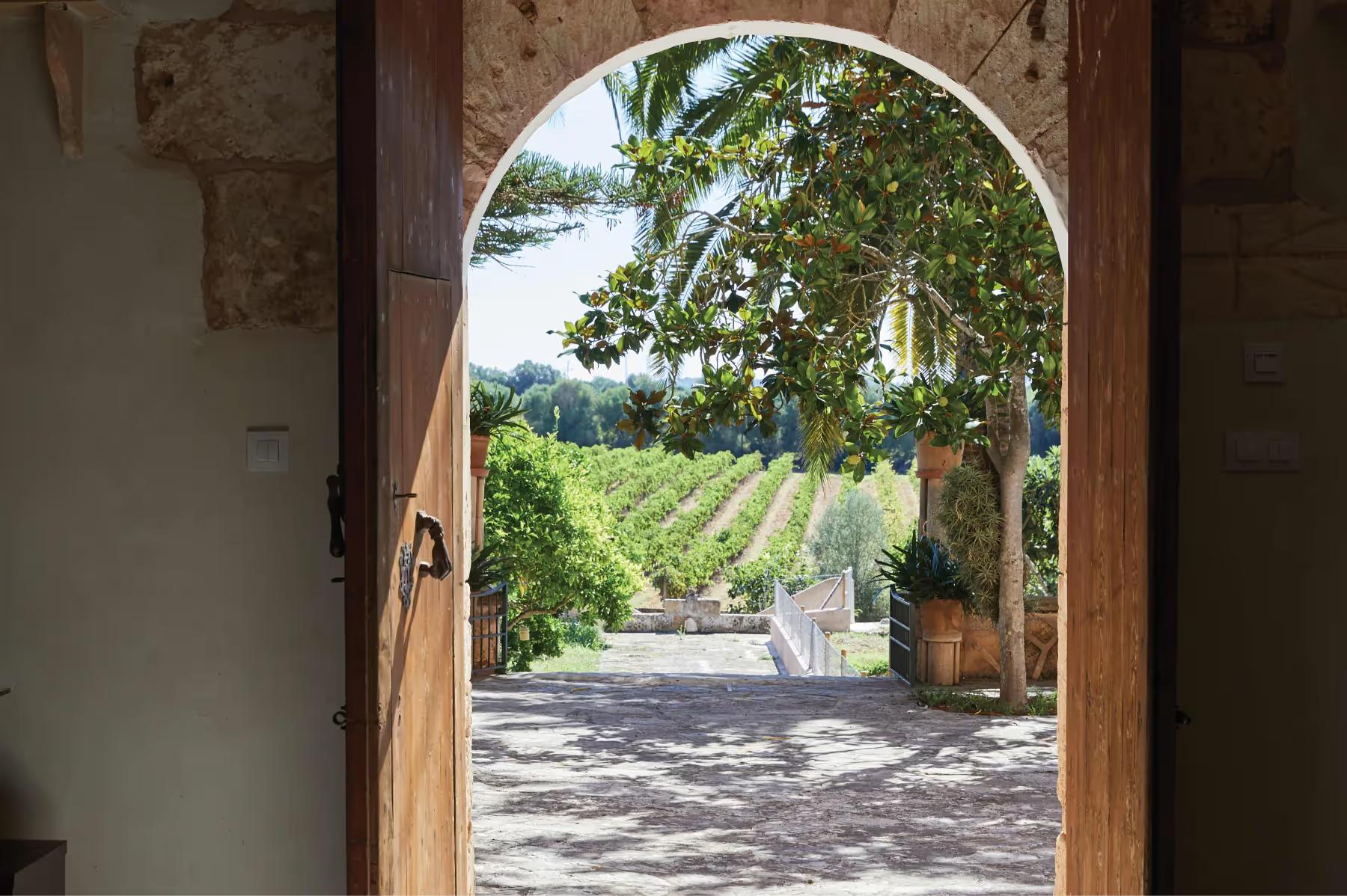 La Residencia: arched wooden doorway framing a courtyard with cypress trees and mountain view