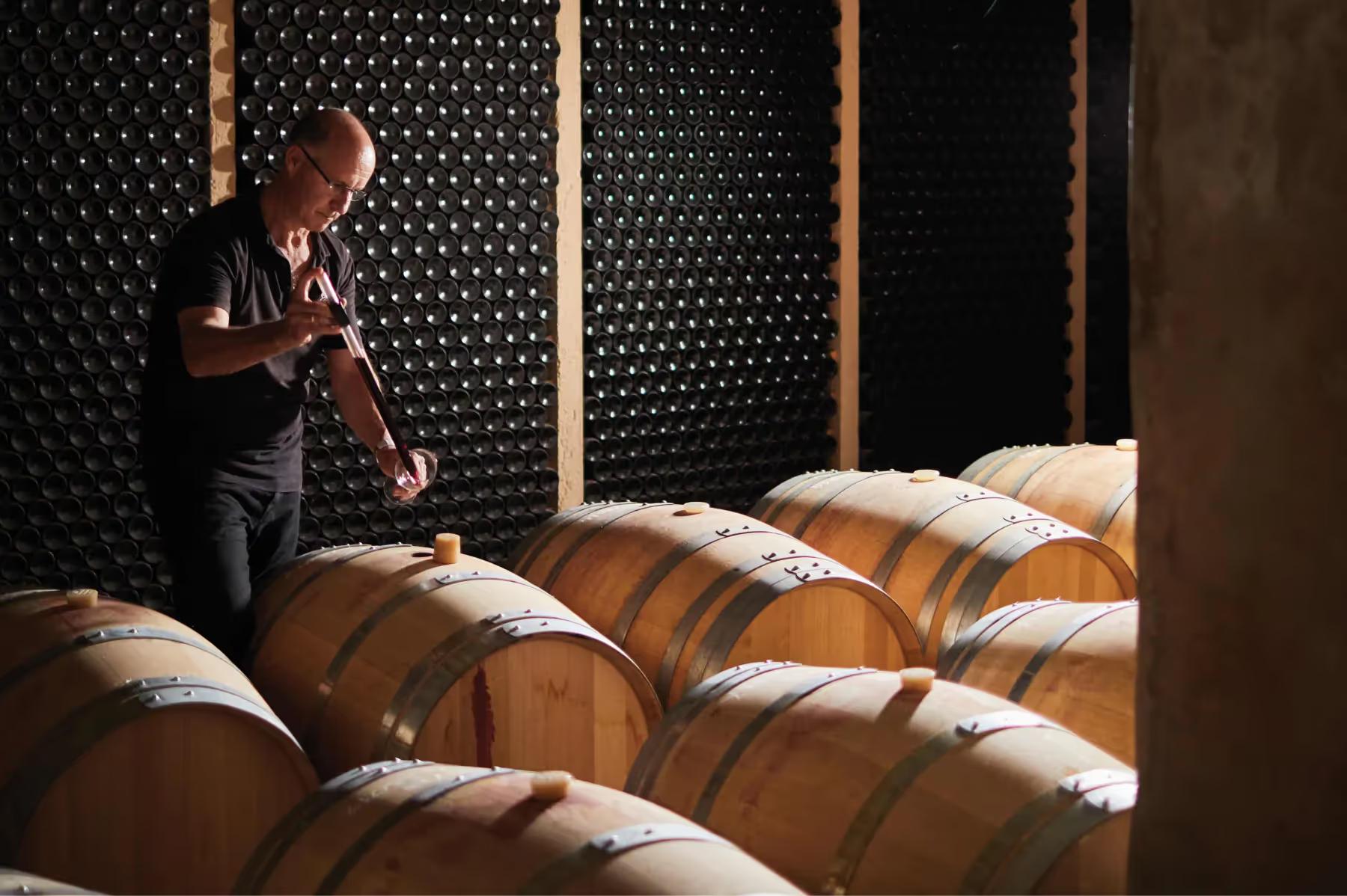 La Residencia: wine cellar with wooden barrels and person examining vintage production