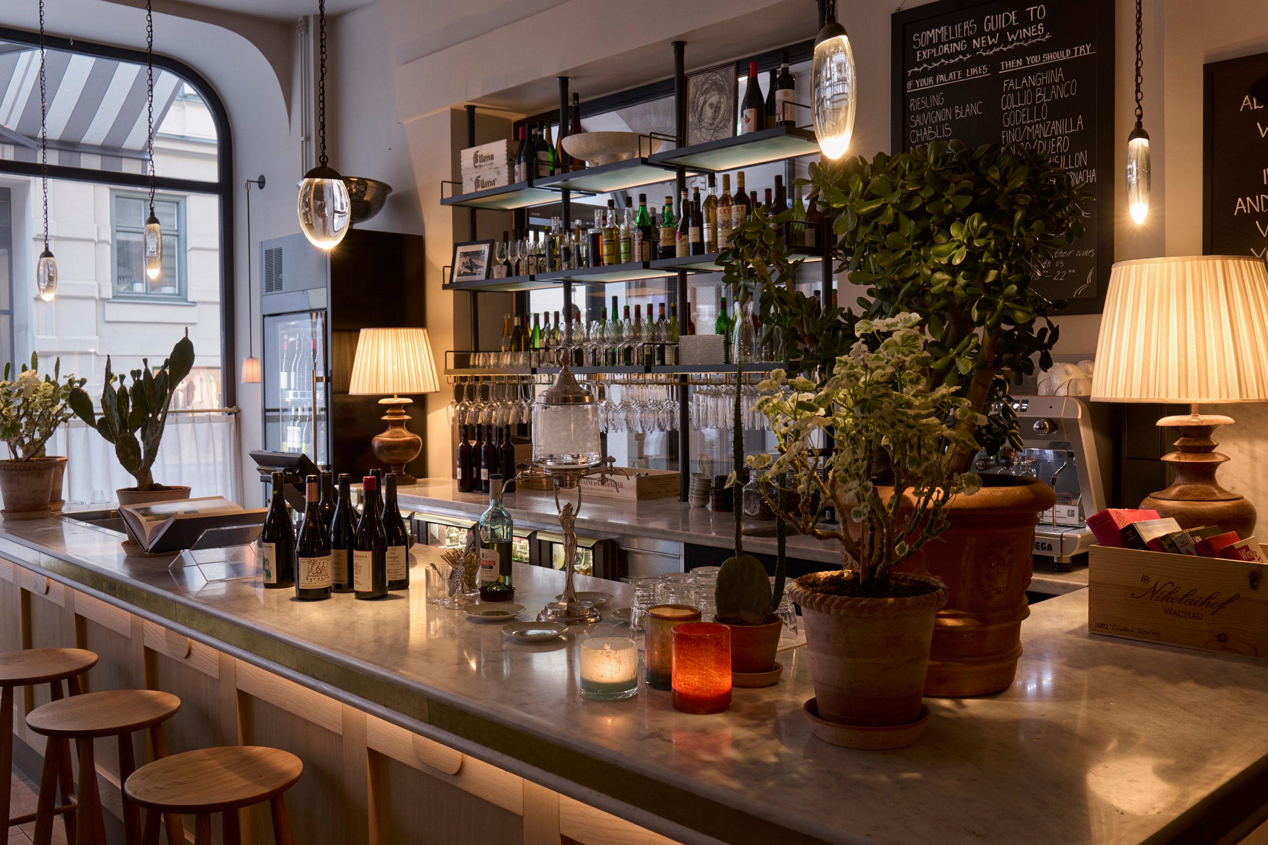 Bar area with shelves of bottles, lush greenery, and warm pendant lighting