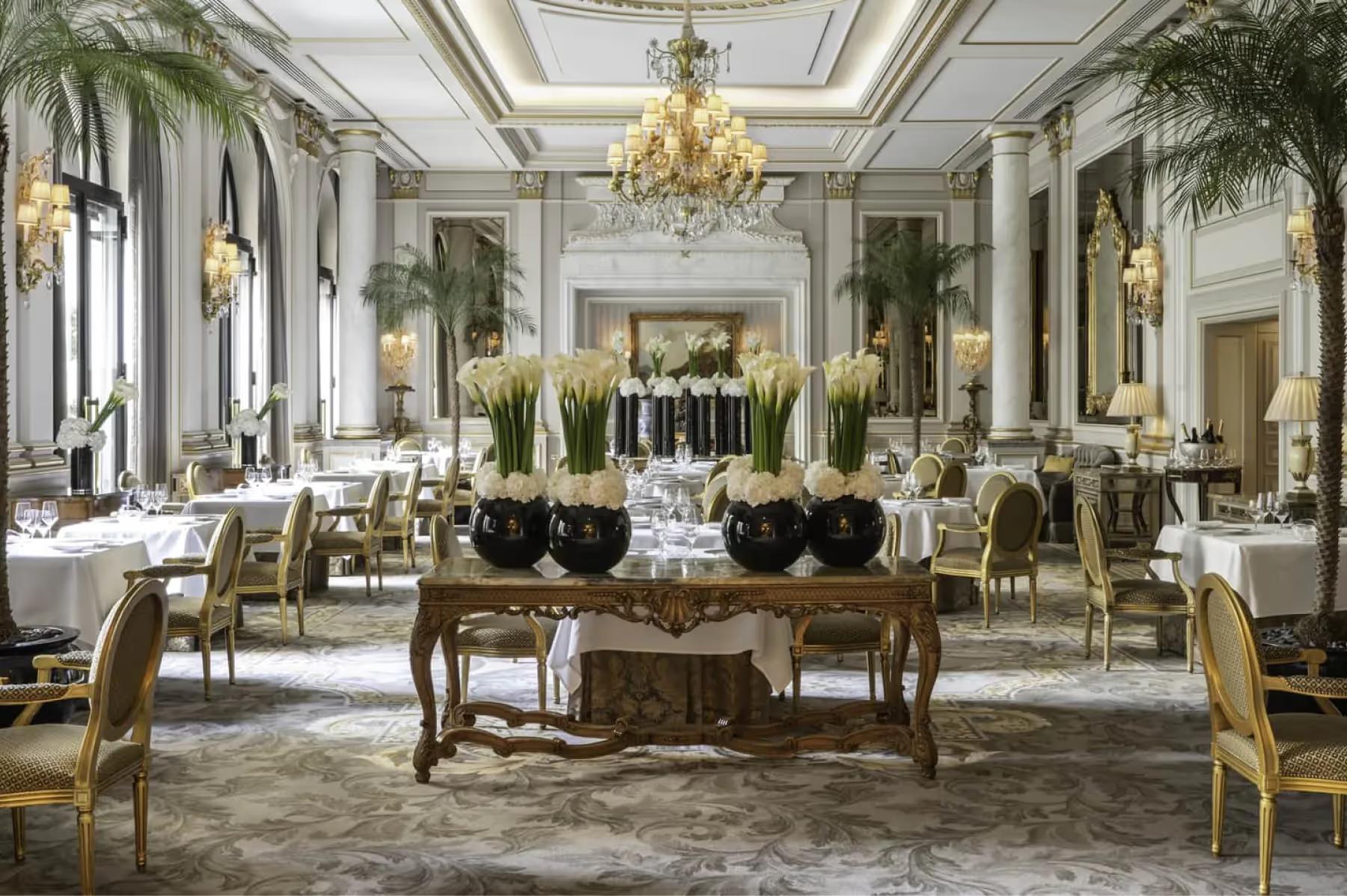 A classical dining room with tall ceilings, palm plants, and elegant table settings