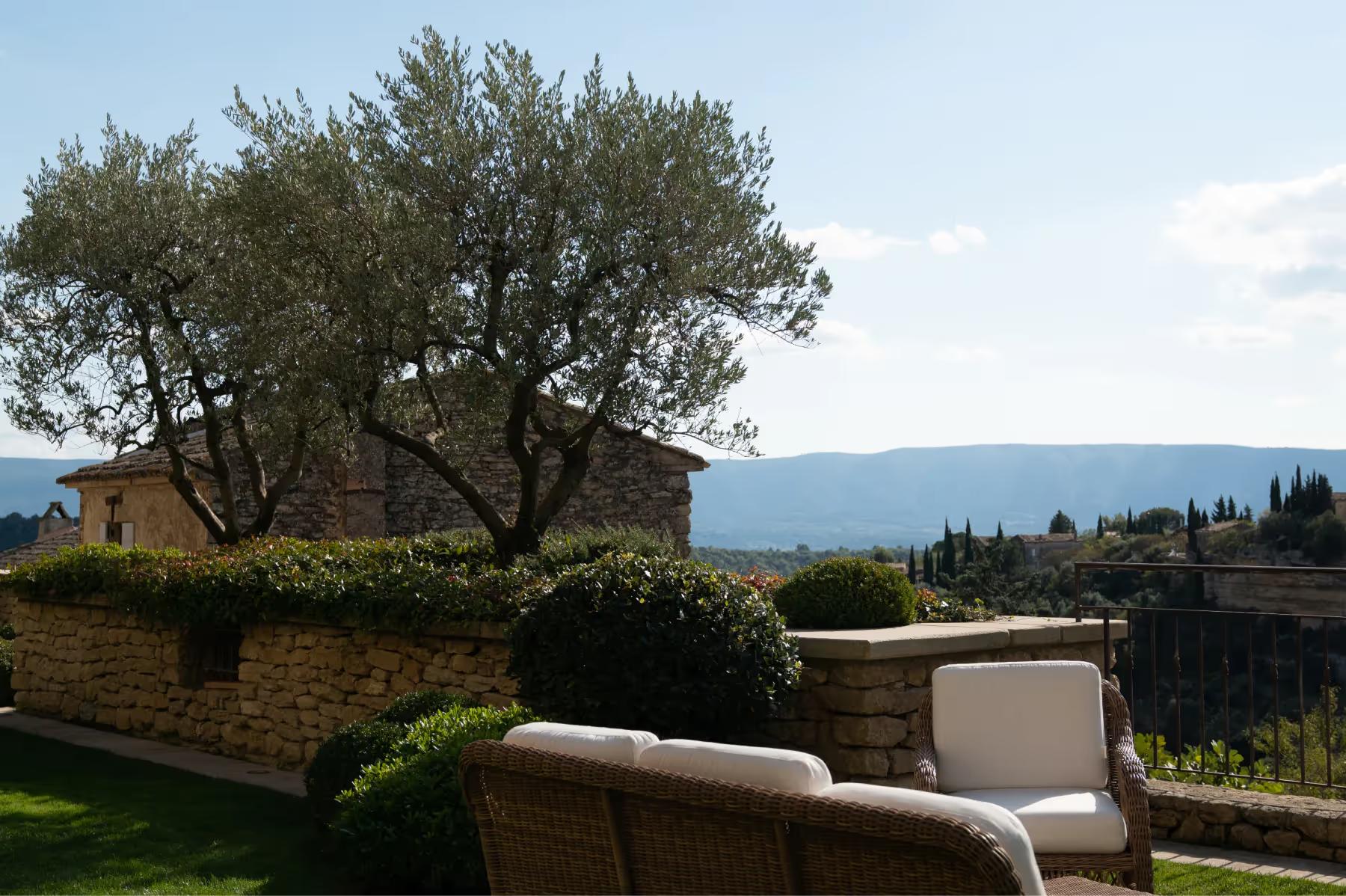 Airelles Gordes, La Bastide: ancient olive tree in courtyard with stone walls and terrace seating