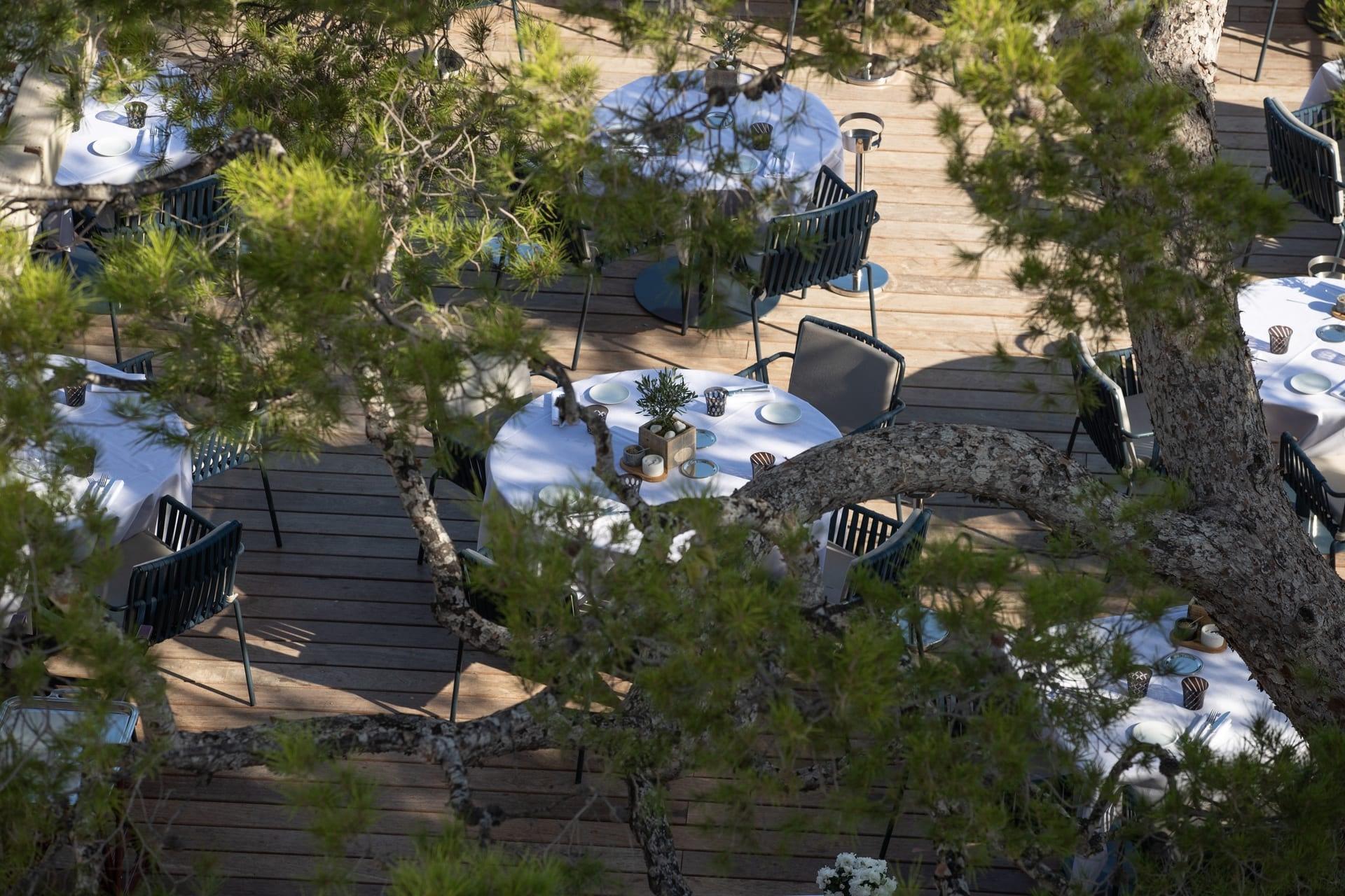 An overhead view of a restaurant terrace with tables shaded by trees overlooking the coast