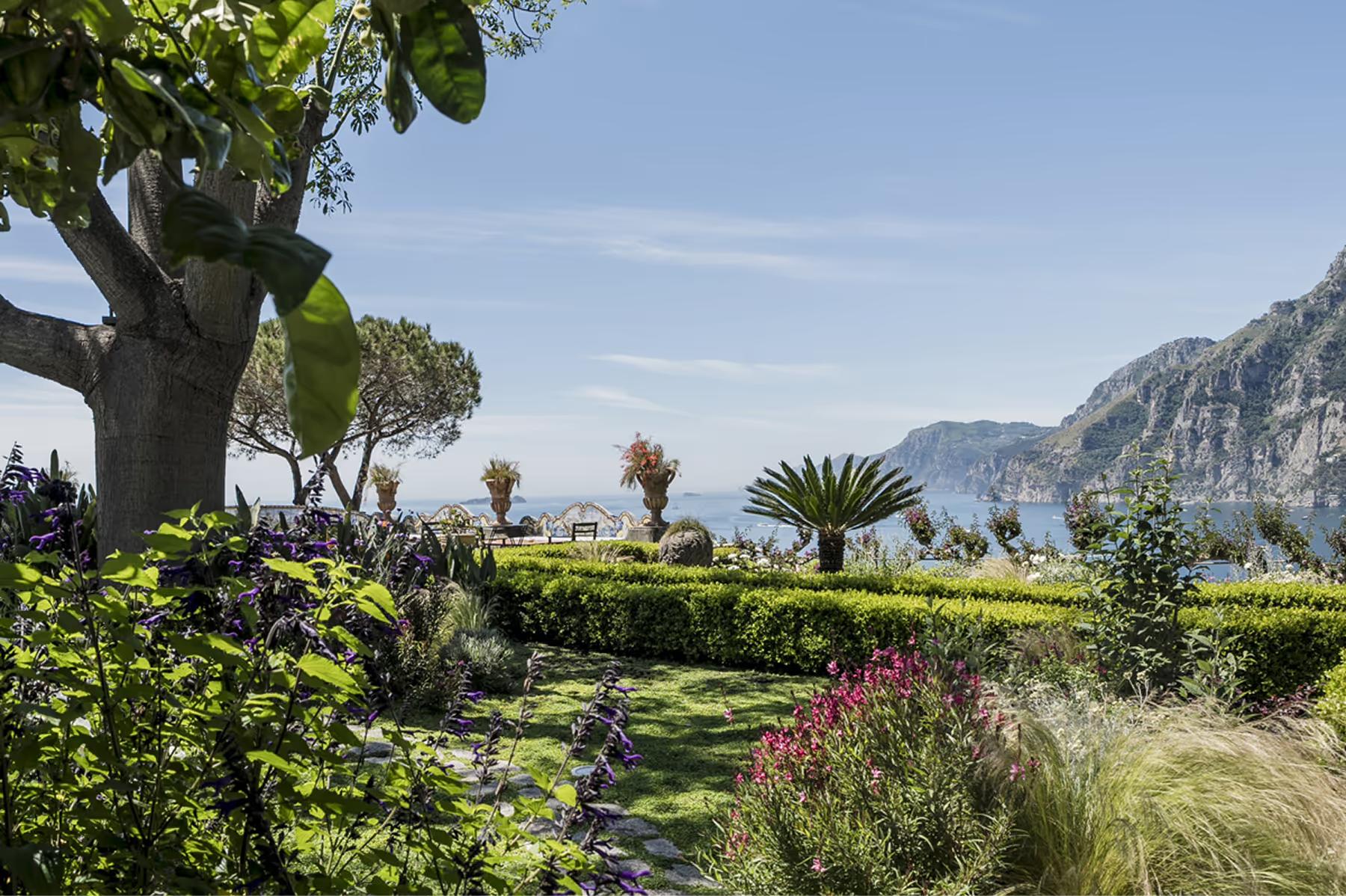 Manicured garden with purple flowering shrubs, ornamental grasses, palms, gnarled stone pine, cliffside sea views