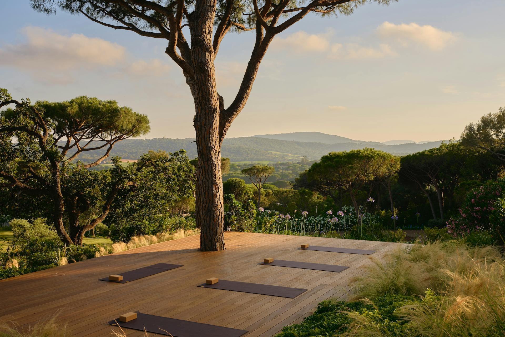 Château de La Messardière: yoga mats arranged on outdoor deck under mature umbrella pine trees