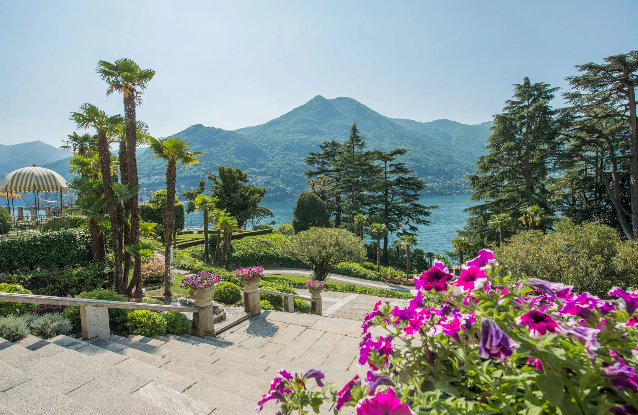 Passalacqua: terrace garden with magenta flowers, cypress, and lake mountains beyond