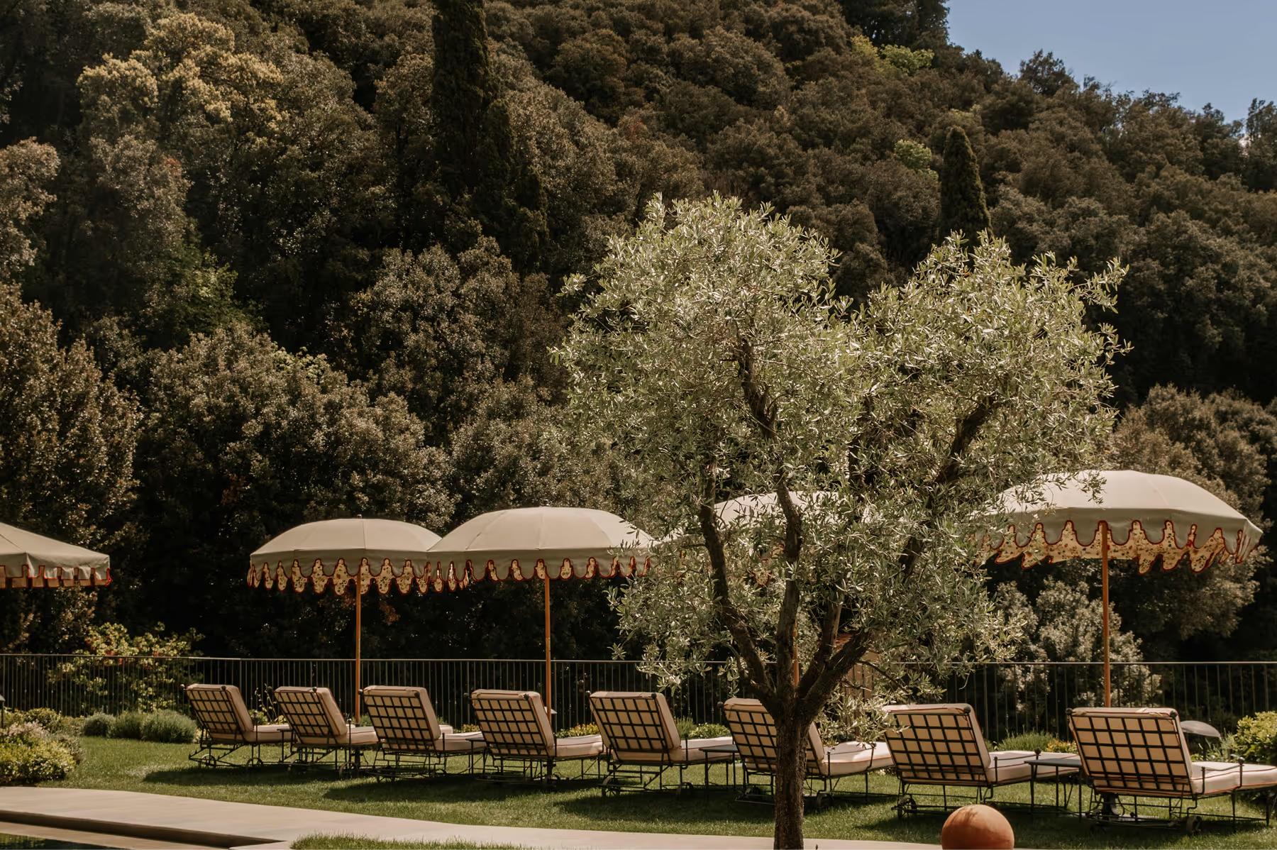 Lounge chairs beneath striped umbrellas in a shaded garden with olive trees and grounds