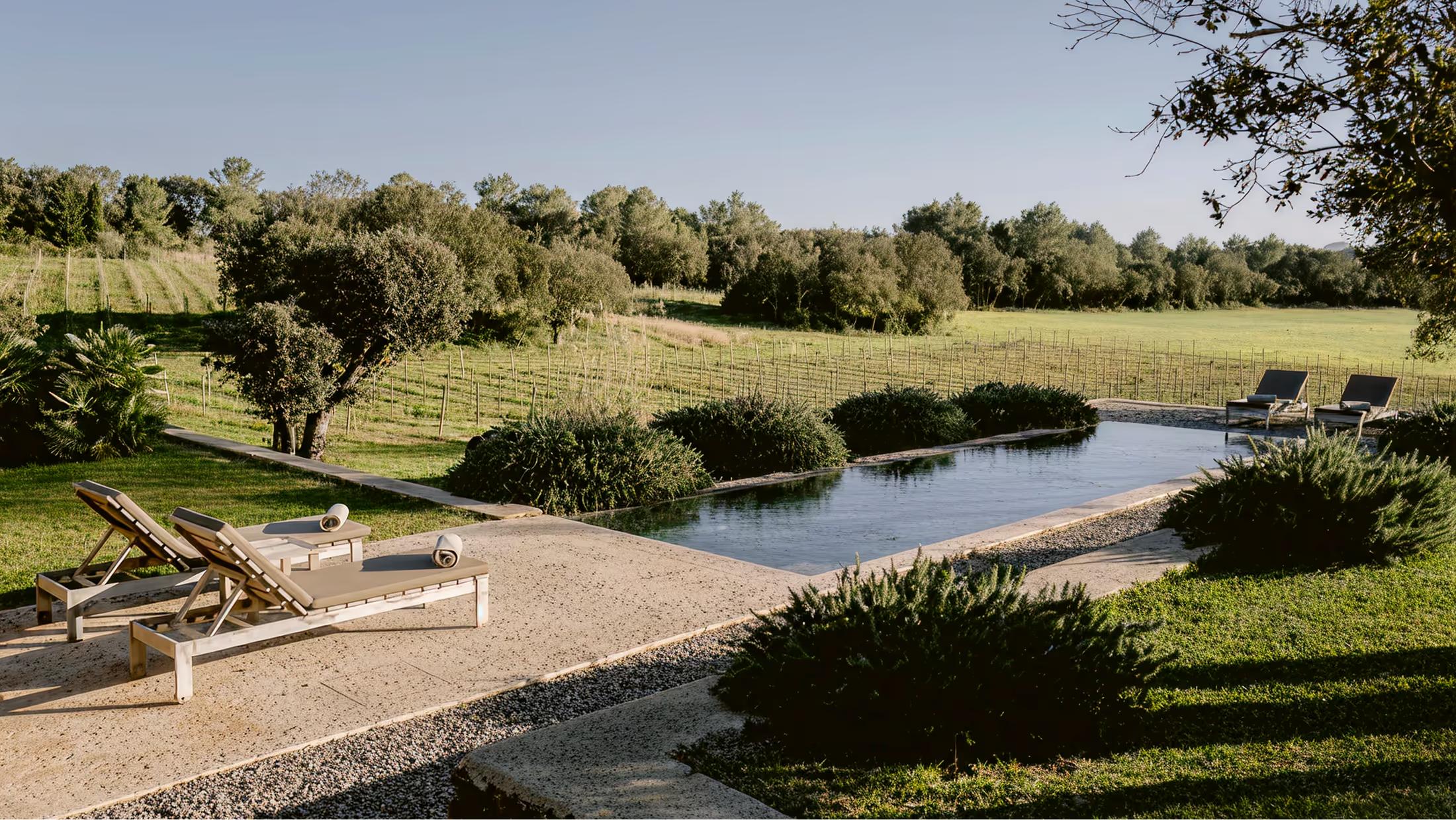 A peaceful estate approach with a gravel path leading past native olive trees and a reflecting pool under sunny skies
