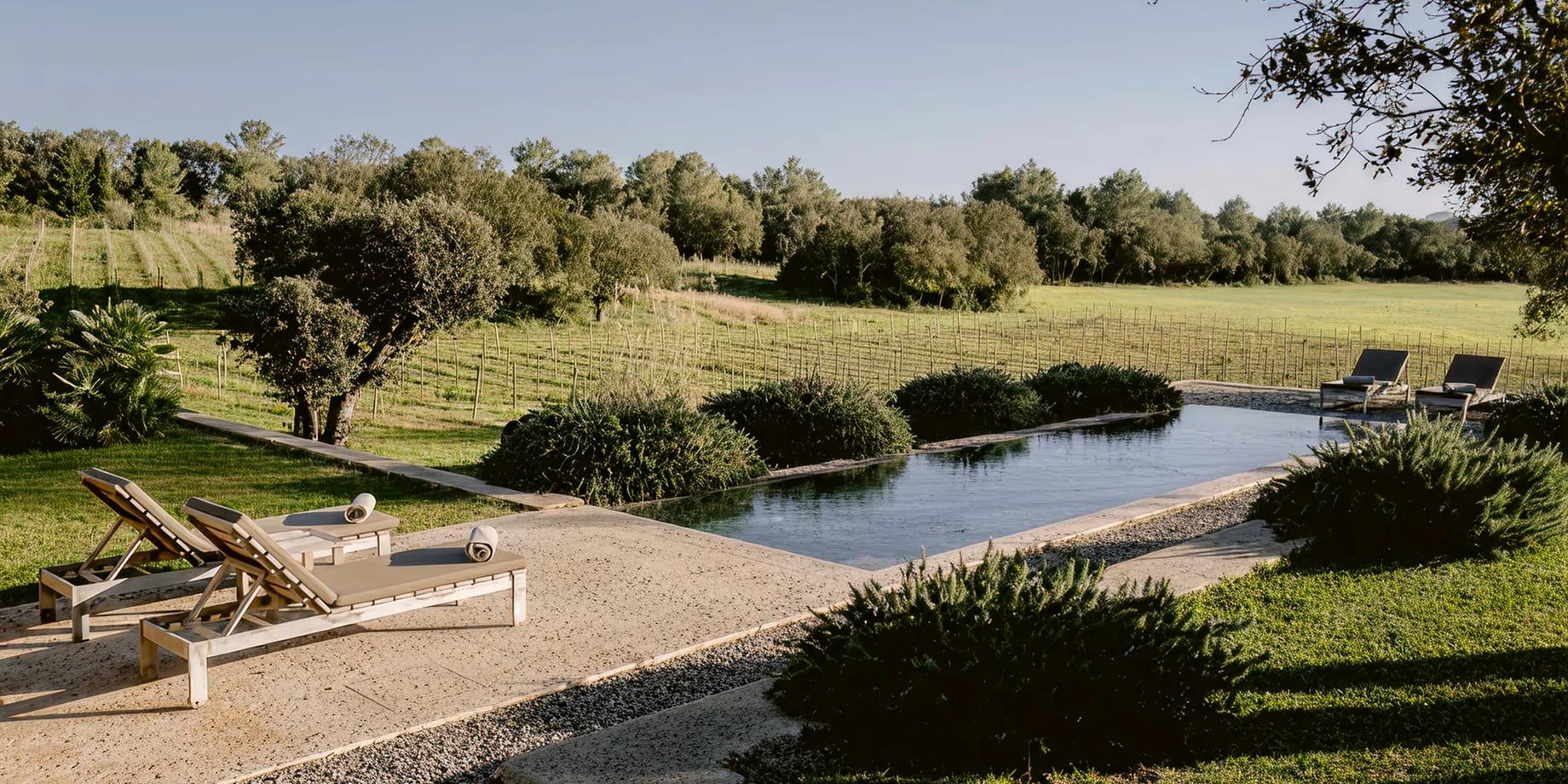 A peaceful estate approach with a gravel path leading past native olive trees and a reflecting pool under sunny skies