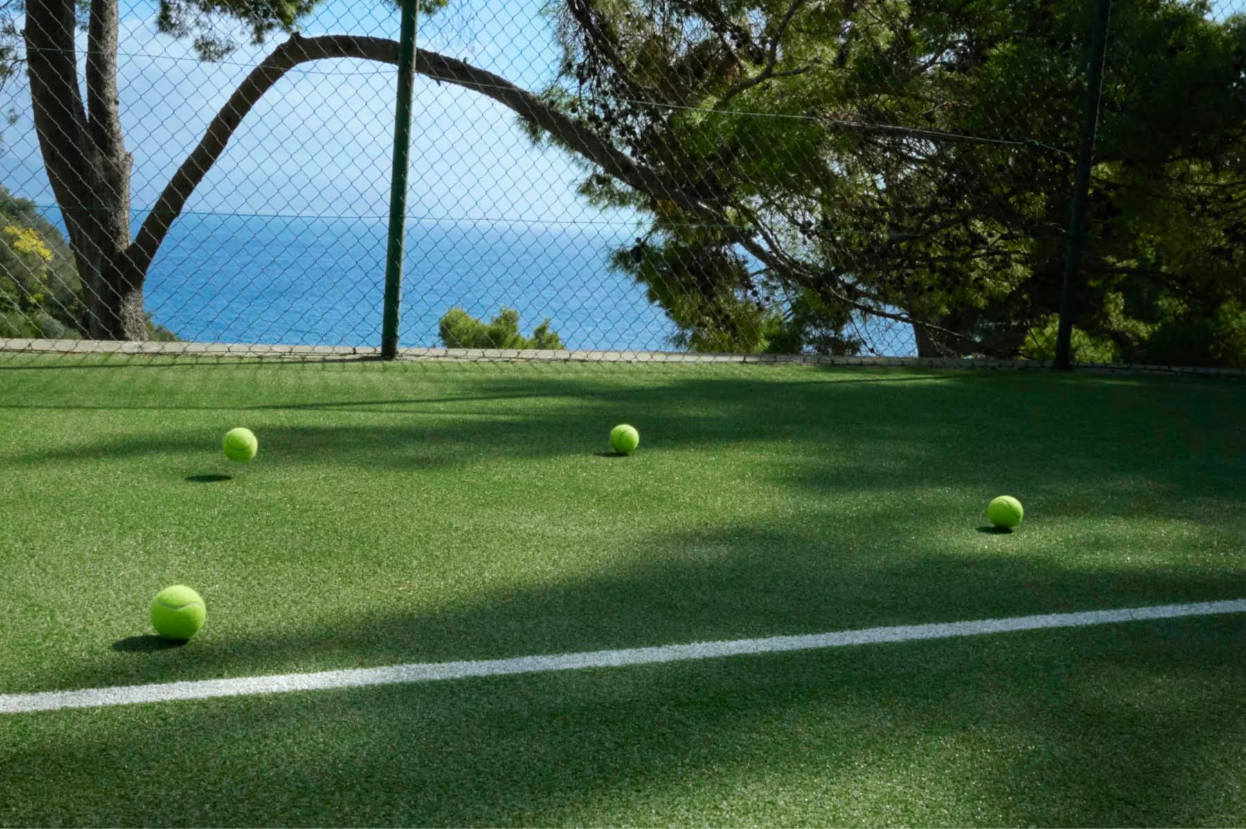 A manicured lawn with tennis court markings and sea view framed by trees