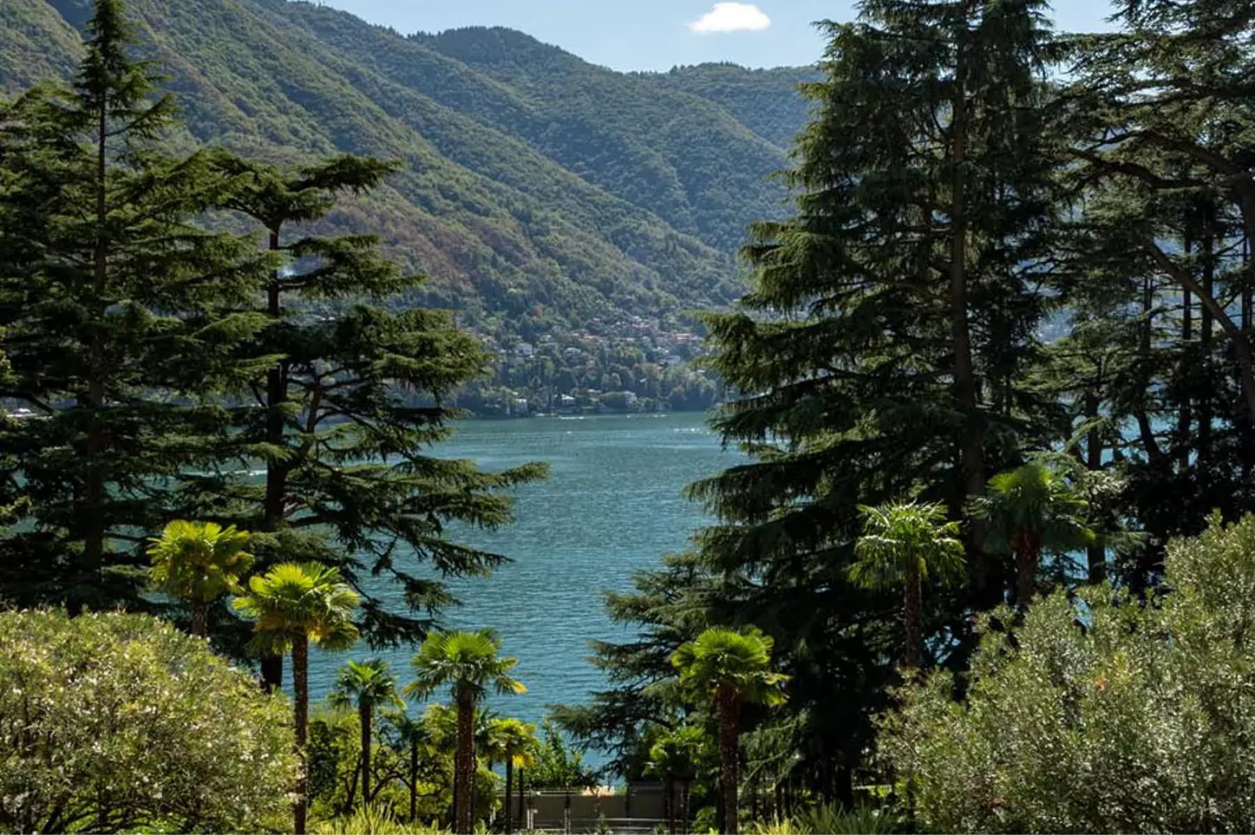 Passalacqua: forested landscape with lake vista framed between tall evergreen trees