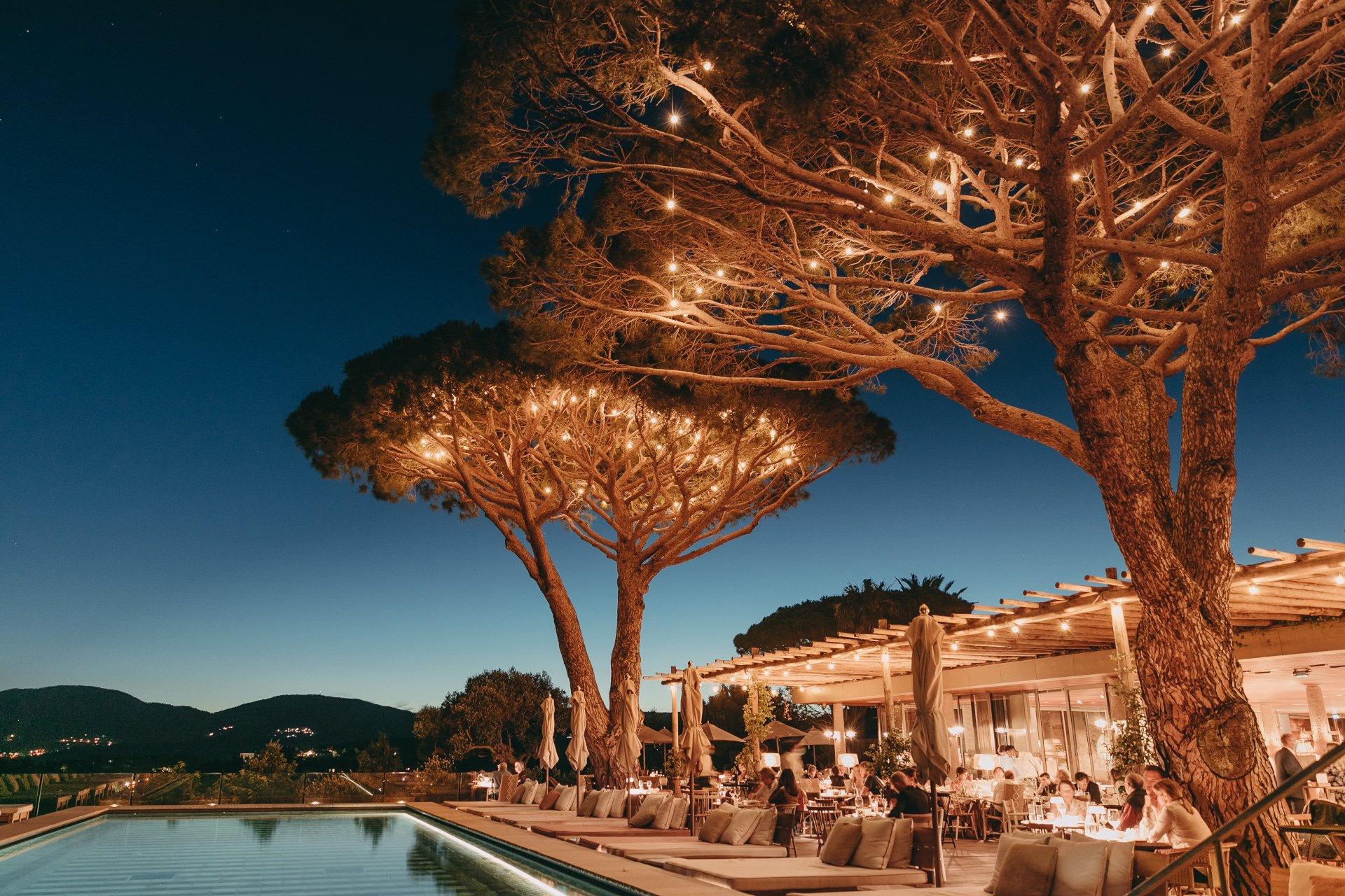 Outdoor dining area beneath umbrella pines at twilight with sea in distance