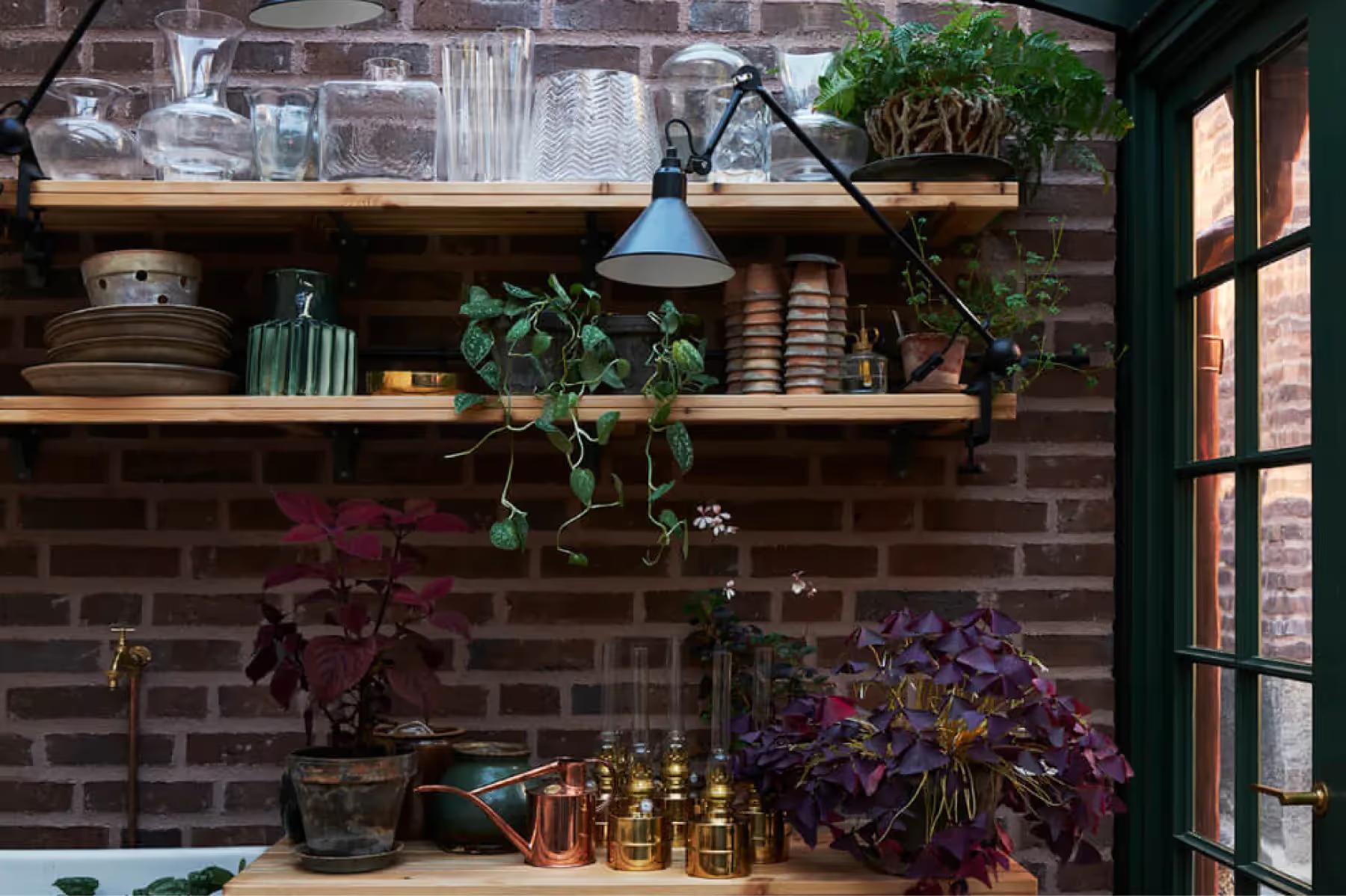 Ett Hem: a garden shelf display with plants in terra cotta pots and dark foliage in background