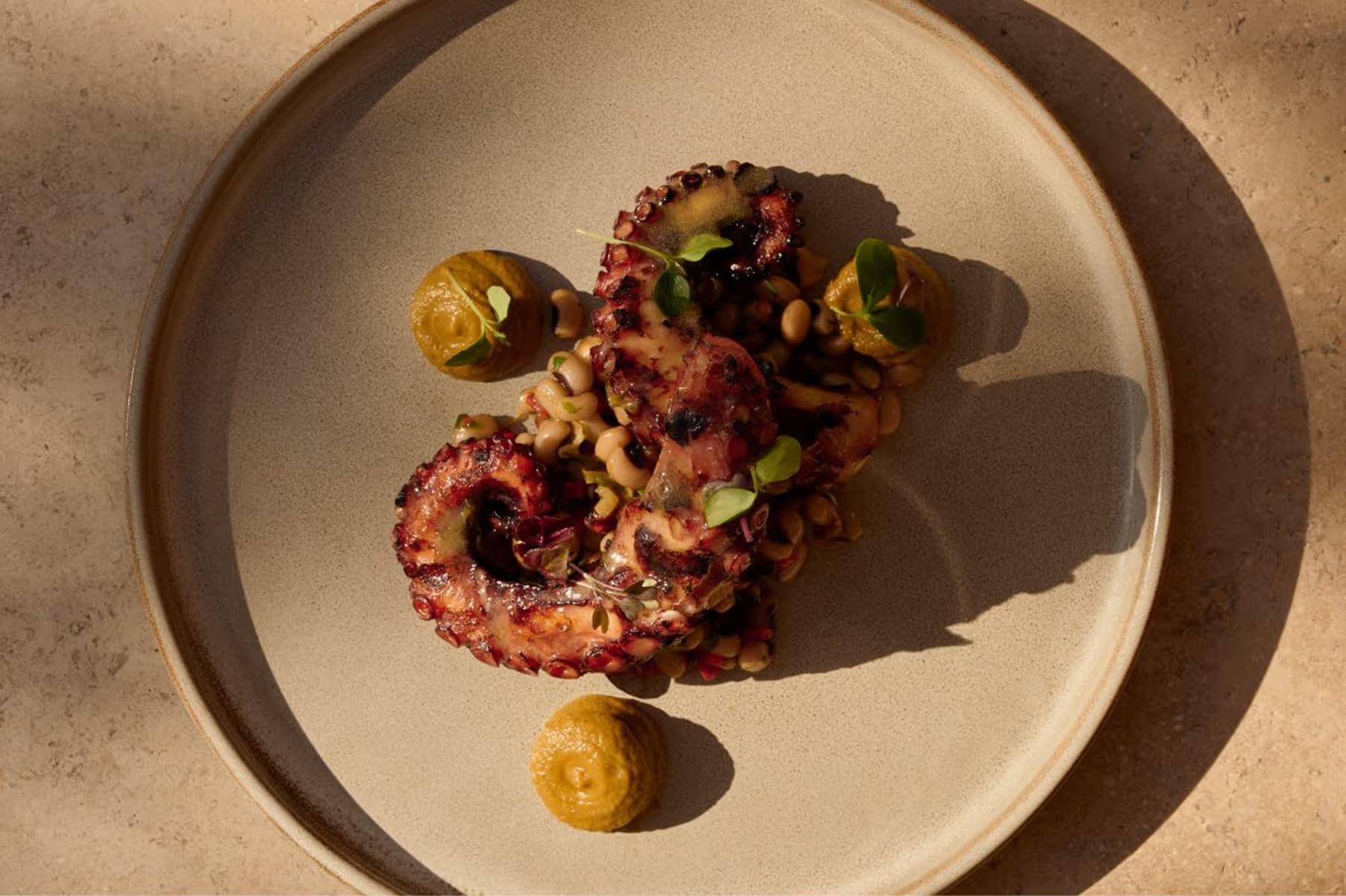 Amanzoe: plated dish with garnish and subtle shadow play on neutral surface