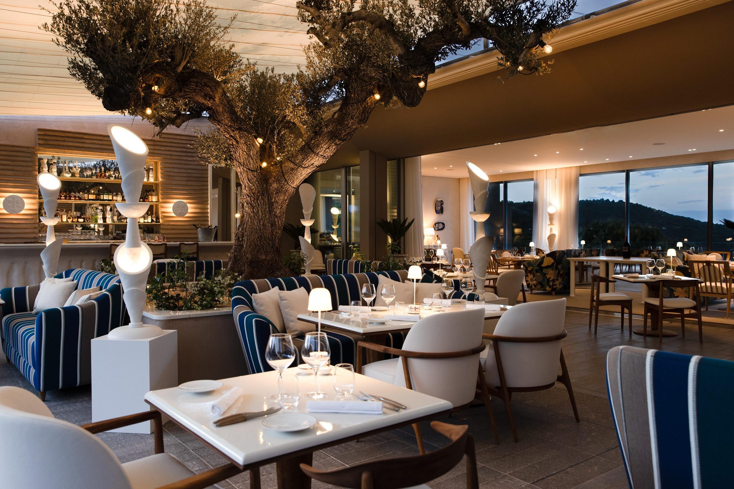 Elegant dining space with historic olive tree and sunset views