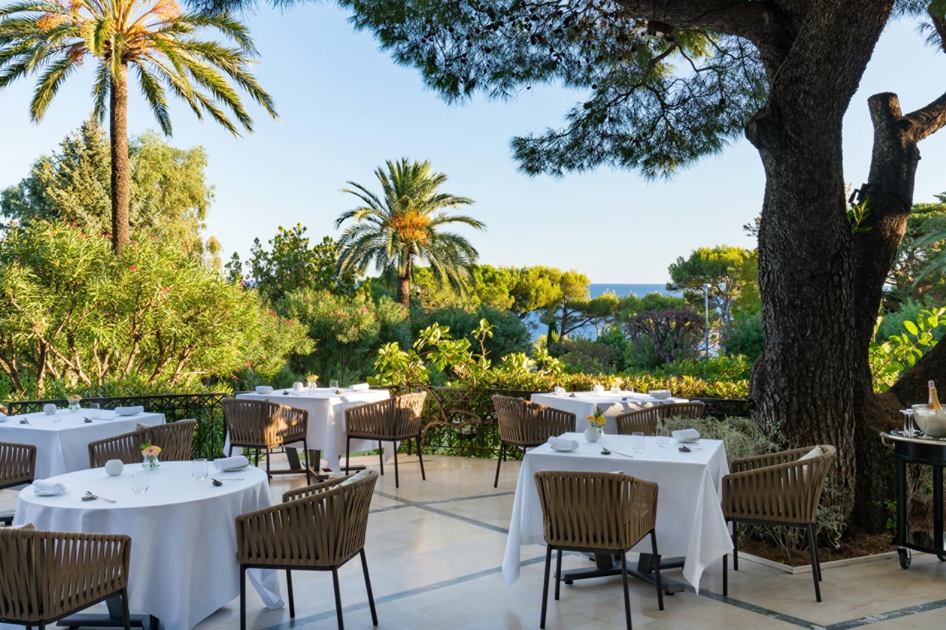 Grand-Hôtel du Cap-Ferrat: garden dining with white tablecloths beneath towering palms and mature trees