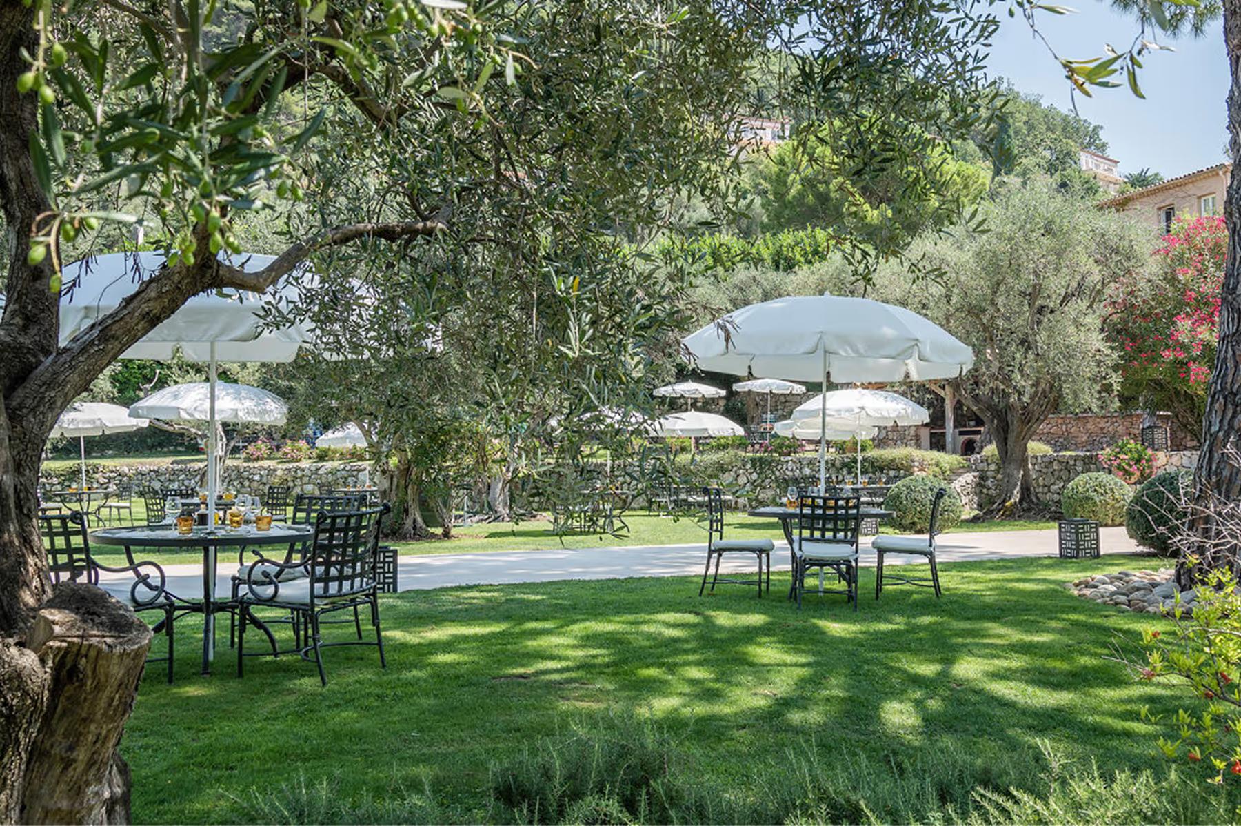 Château Saint Martin & Spa: grounds with pool, shaded seating, and ancient olive trees under blue sky