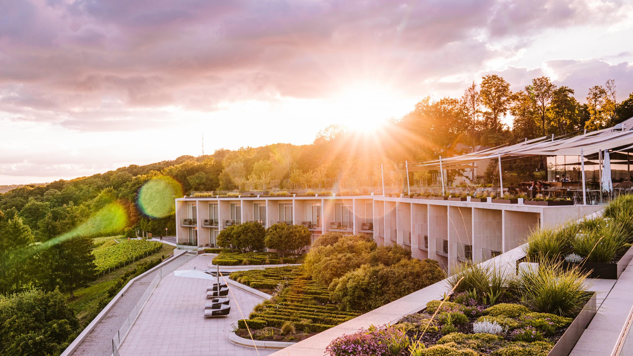 Royal Champagne Hotel & Spa: modern hillside hotel with white facade and extensive glass windows overlooking vineyards at golden hour