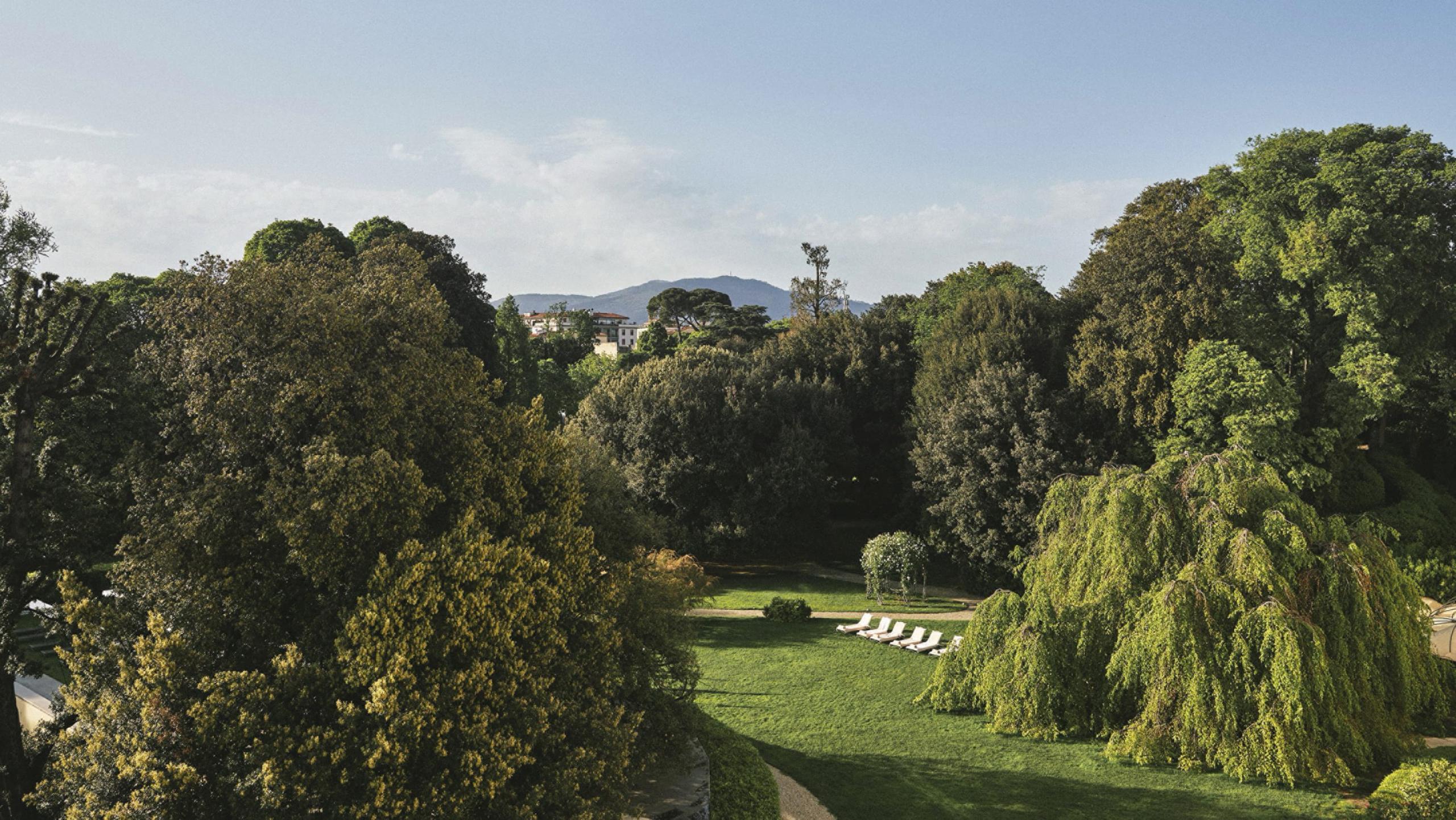 Garden landscape with mature shade trees and neatly trimmed hedgerows under clear sky