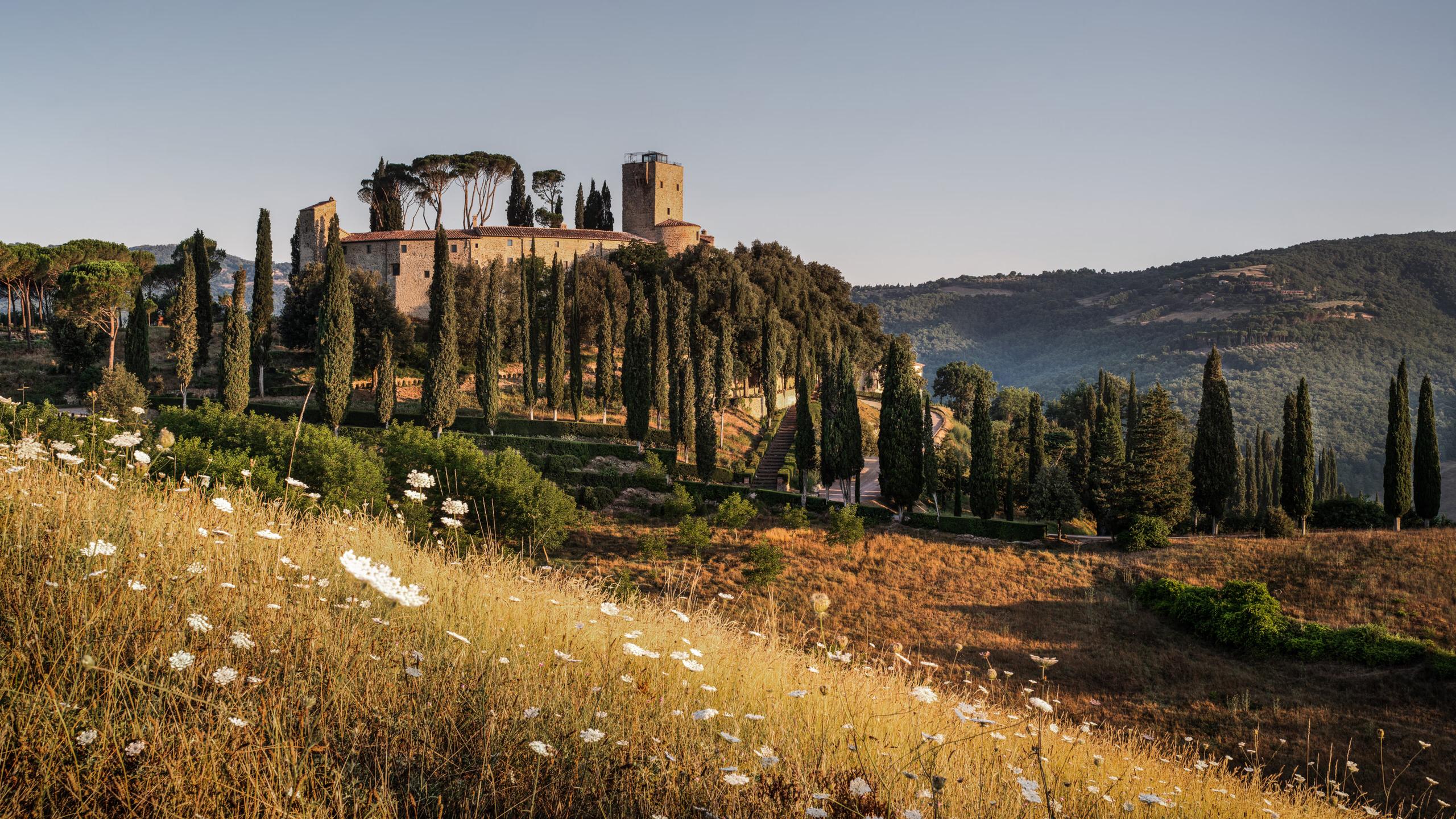 A stone tower on a cypress lined hilltop, seen across a wildflower meadow at golden hour