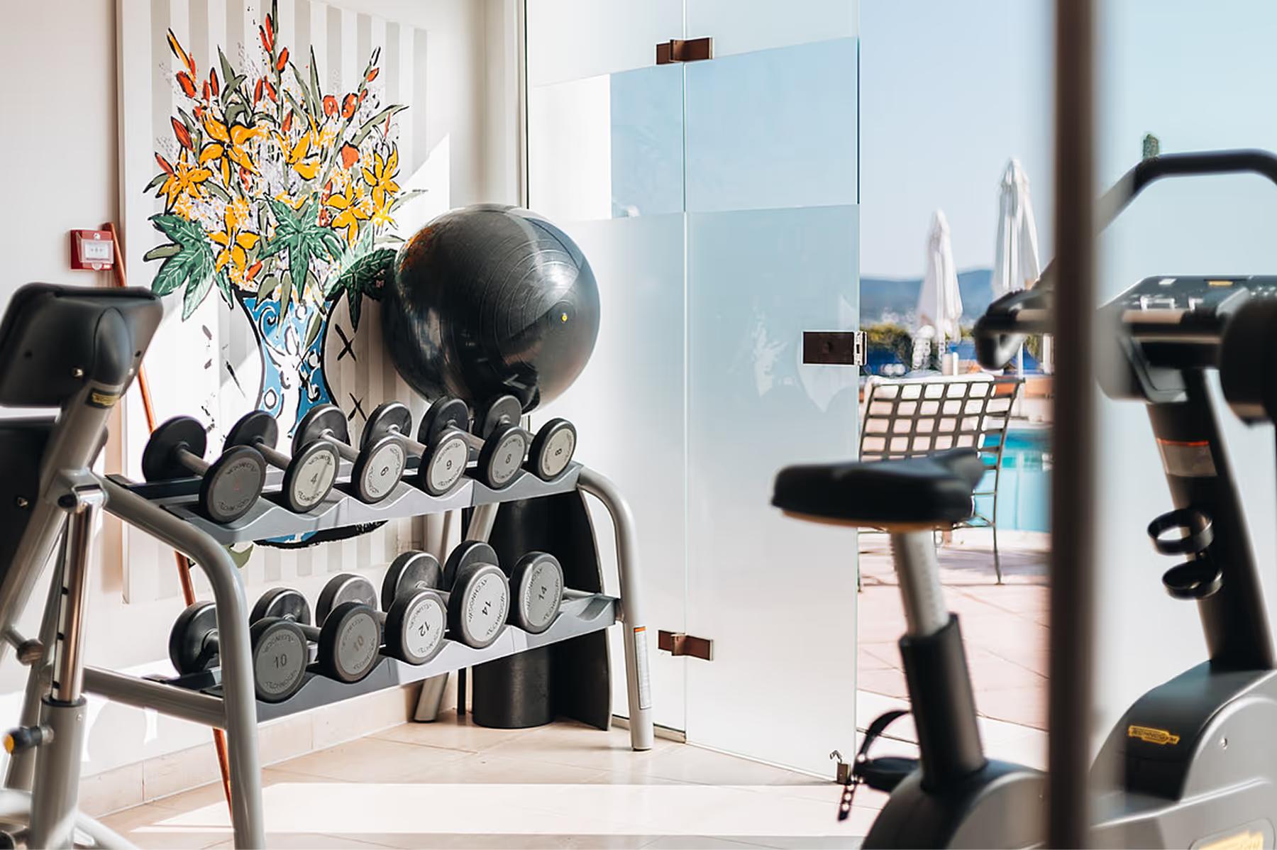 Fitness studio with floor-to-ceiling windows and strength training equipment