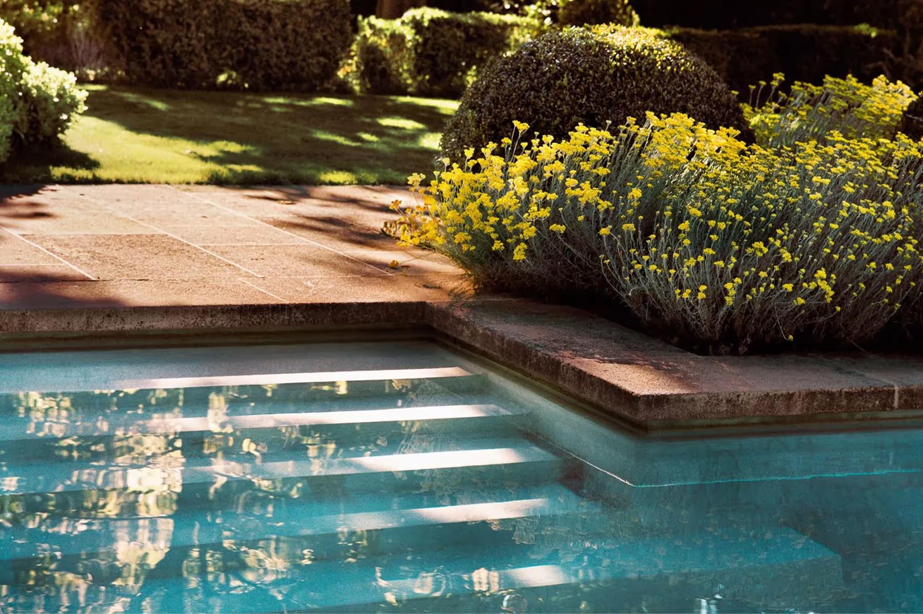 Garden pool edge with bright yellow flowering shrubs and shaded lounging area