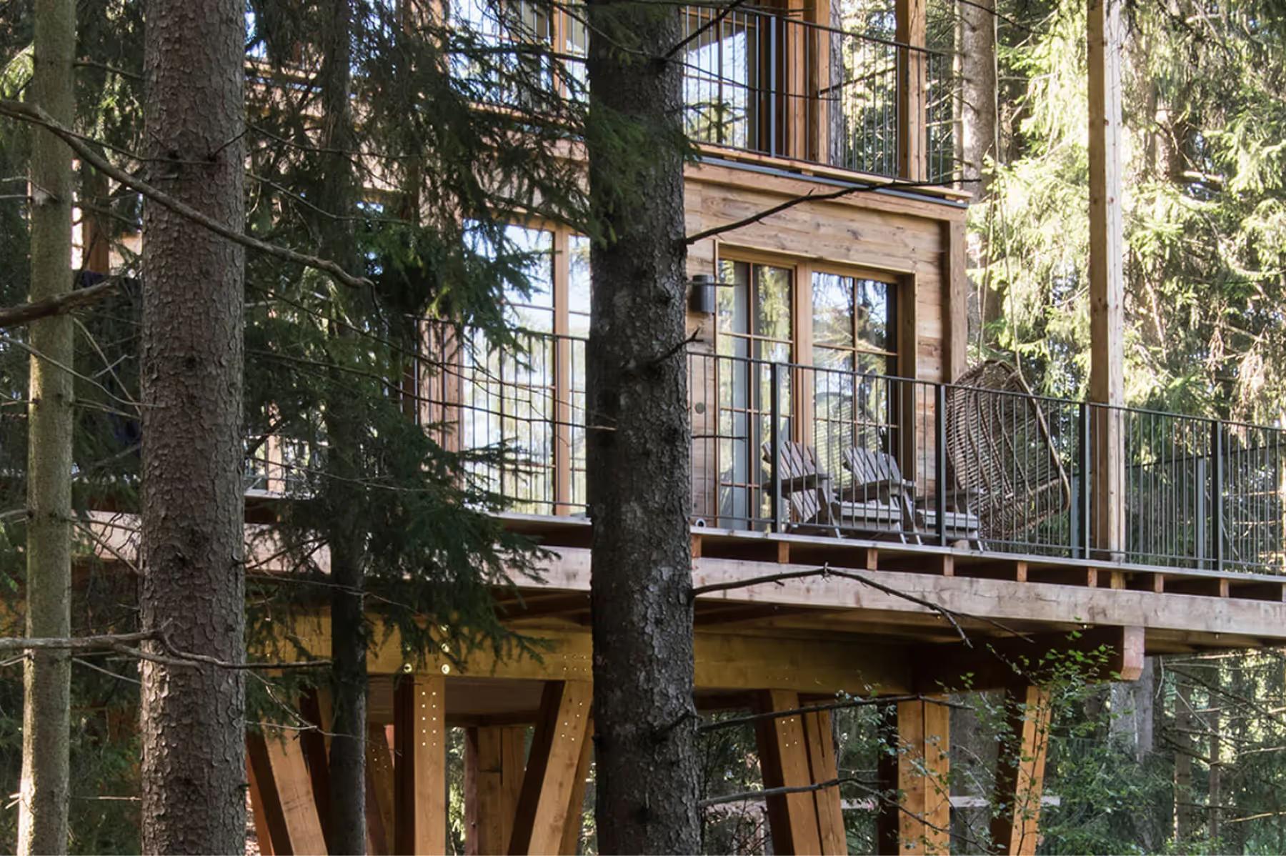 Wooden treehouse among tall trees in the forest