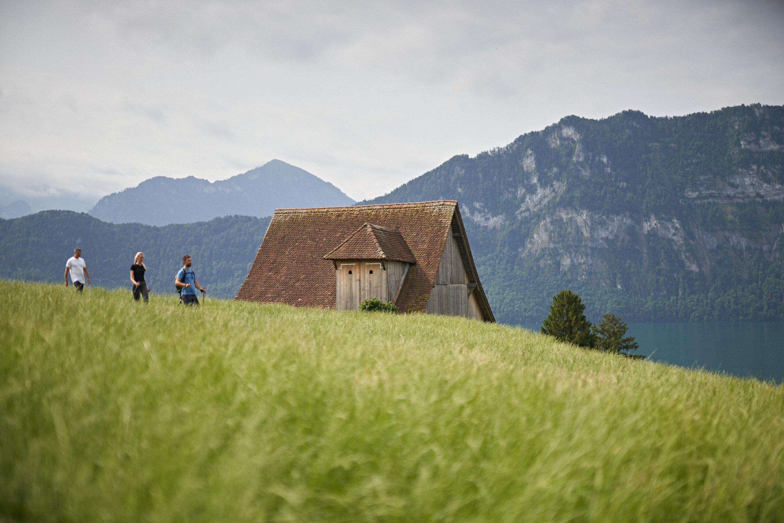 Chenot Palace Weggis: three hikers on grassy Alpine hillside beside wooden barn-style structure and mountain scenery