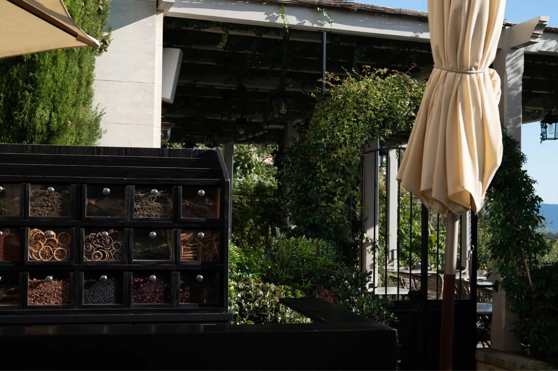 Black modern bar with climbing vines and draped curtains