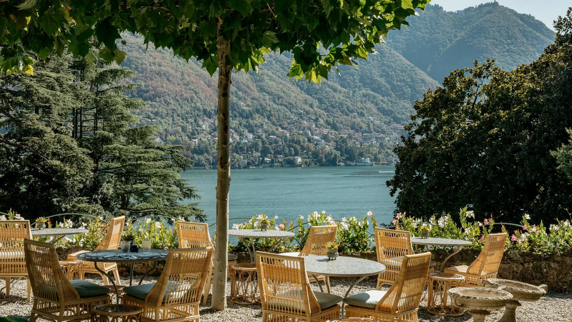 Garden dining area with rattan chairs, ancient tree, and lake mountains beyond