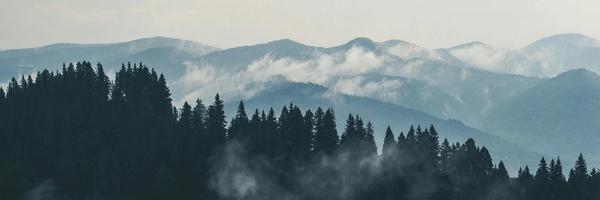 Using Sanity and Astro Together: A Practical, Technical Stack