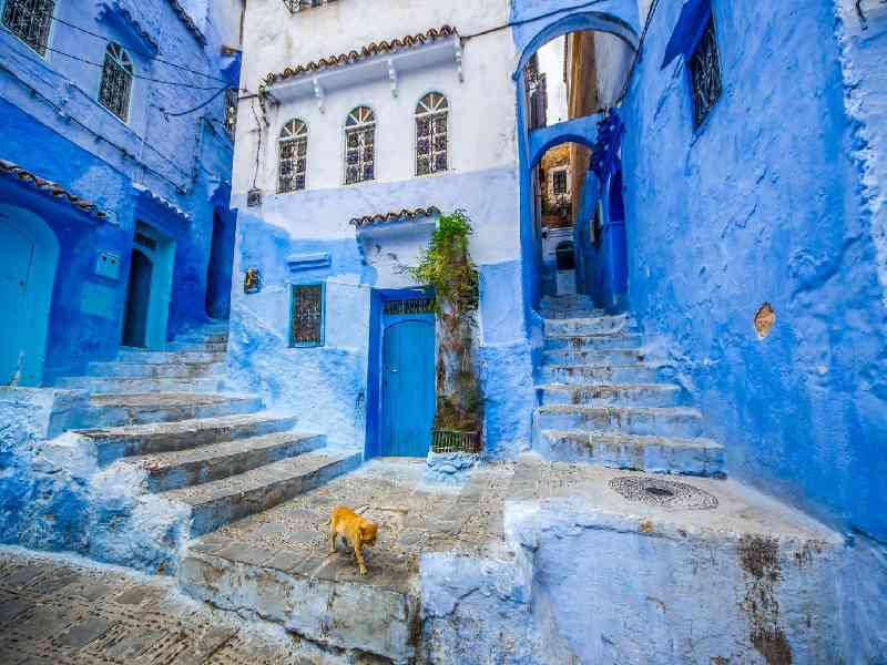 Explore Morocco’s vibrant culture through the blue streets of Chefchaouen, the ancient medina of Fez, and the bustling souks of Marrakesh