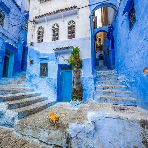 Explore Morocco’s vibrant culture through the blue streets of Chefchaouen, the ancient medina of Fez, and the bustling souks of Marrakesh Explore Morocco’s vibrant culture through the blue streets of Chefchaouen, the ancient medina of Fez, and the bustling souks of Marrakesh