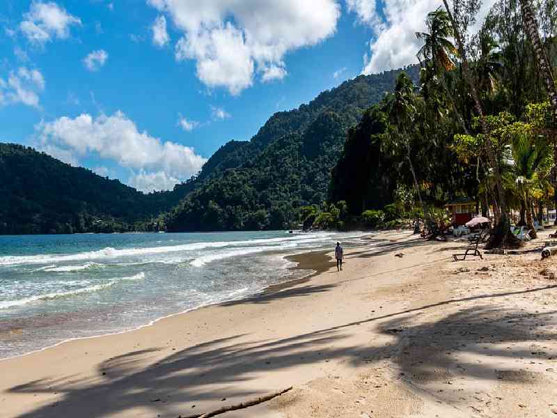Unwind at the iconic Maracas Bay with golden sands, crystal waters, and the island’s famous bake and shark.