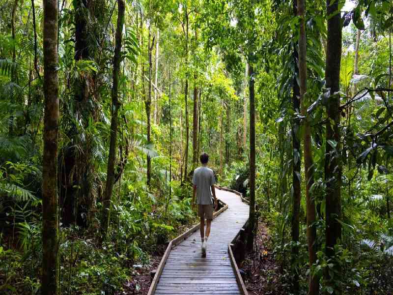 Explore breathtaking natural wonders including the Daintree Rainforest, Indigenous cultural sites, and vibrant coral reefs.