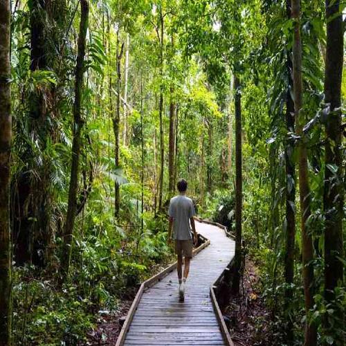 Explore breathtaking natural wonders including the Daintree Rainforest, Indigenous cultural sites, and vibrant coral reefs. Explore breathtaking natural wonders including the Daintree Rainforest, Indigenous cultural sites, and vibrant coral reefs.