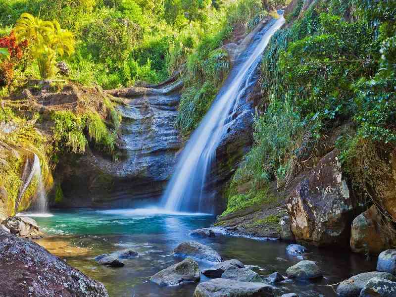 Visit Concord Falls and enjoy a refreshing swim surrounded by lush tropical scenery.