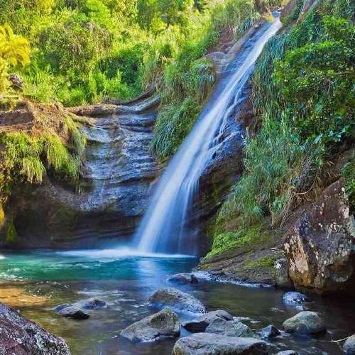 Visit Concord Falls and enjoy a refreshing swim surrounded by lush tropical scenery. Visit Concord Falls and enjoy a refreshing swim surrounded by lush tropical scenery.