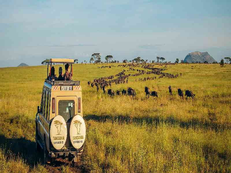 Experience unforgettable safari adventures across the Serengeti, Ngorongoro Crater, and Maasai Mara in search of the Big Five.