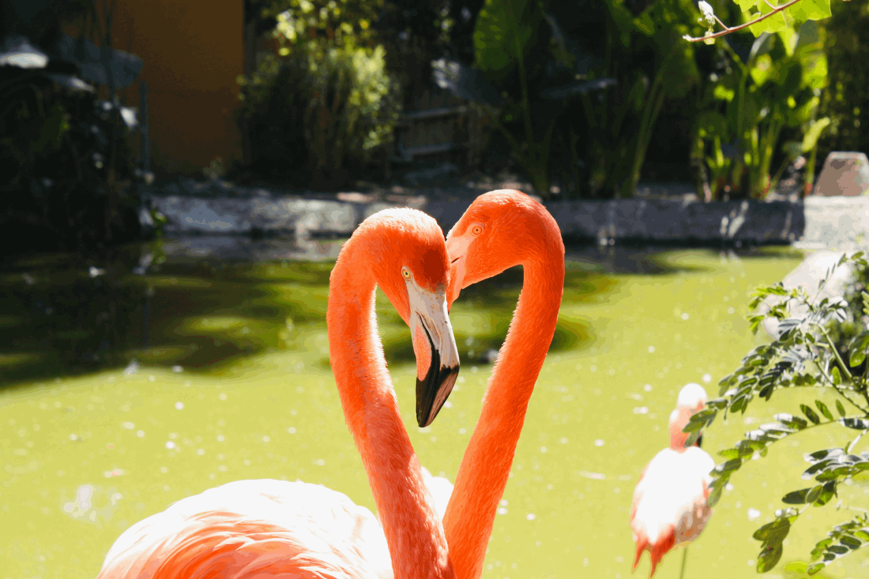 Mexico Dreaming: Tulum to Holbox