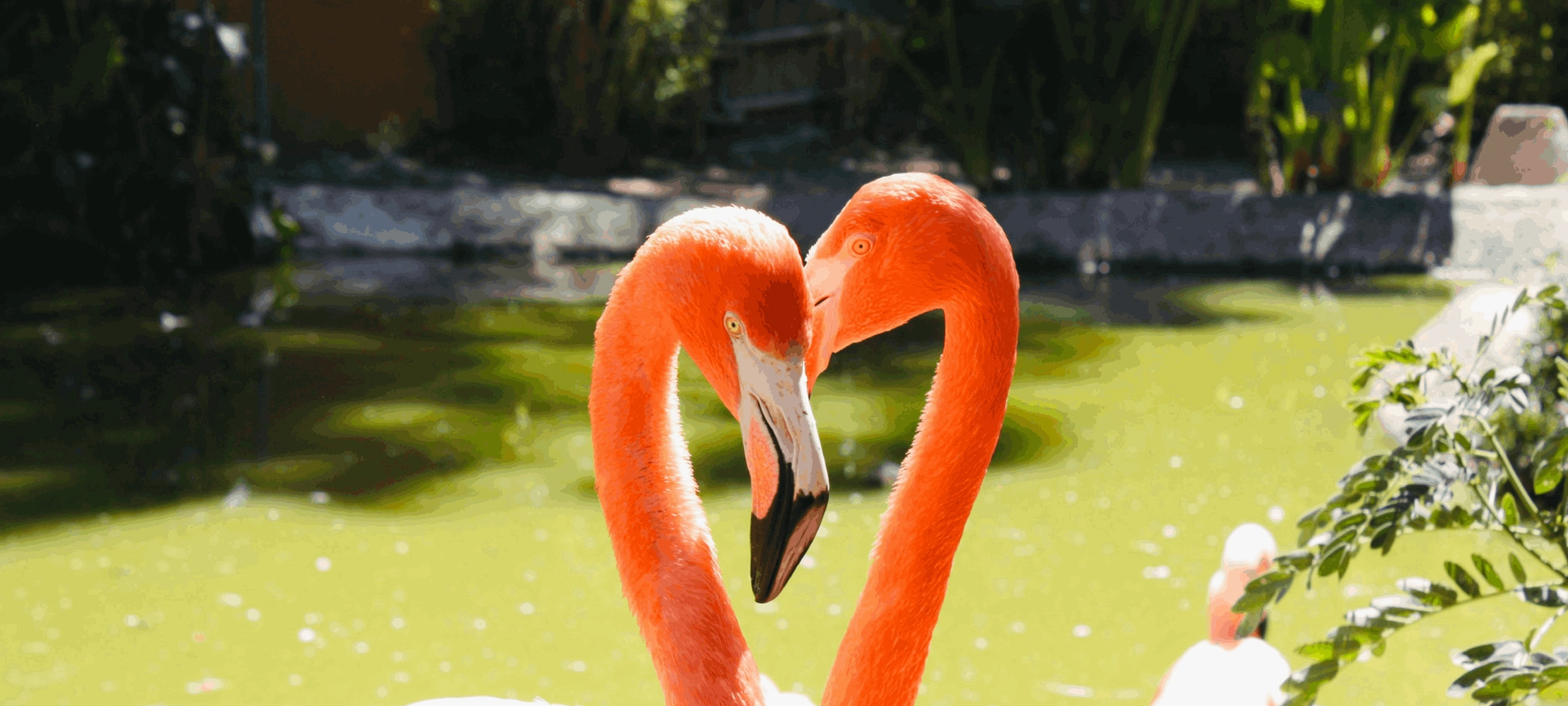 Mexico Dreaming: Tulum to Holbox Mexico Dreaming: Tulum to Holbox