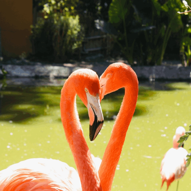 Mexico Dreaming: Tulum to Holbox Mexico Dreaming: Tulum to Holbox