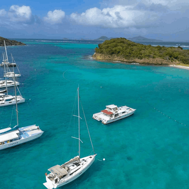 Tobago Cays Catamaran Cruise and Snorkeling Adventure Tobago Cays Catamaran Cruise and Snorkeling Adventure