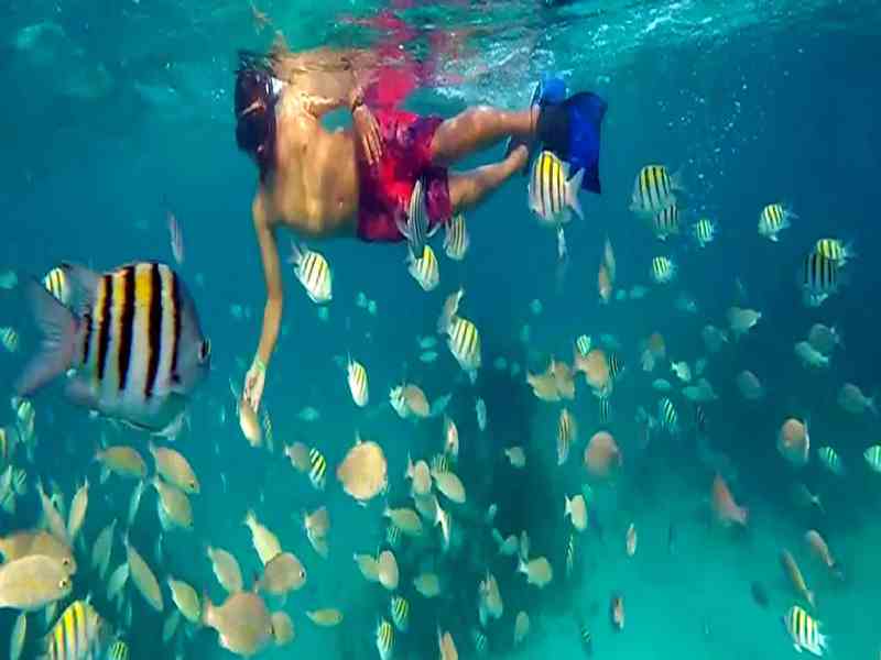 Sail across turquoise Caribbean waters and snorkel vibrant reefs filled with tropical marine life.