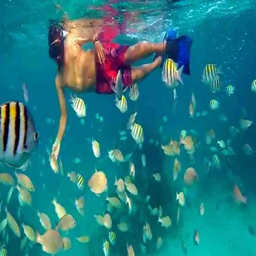 Sail across turquoise Caribbean waters and snorkel vibrant reefs filled with tropical marine life. Sail across turquoise Caribbean waters and snorkel vibrant reefs filled with tropical marine life.